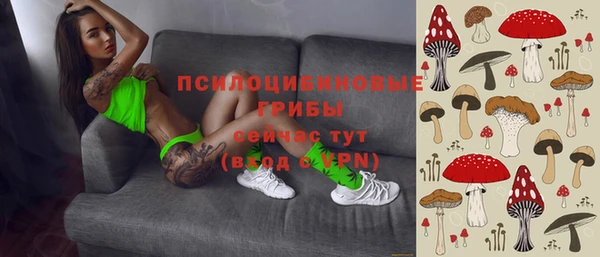ГАЛЛЮЦИНОГЕННЫЕ ГРИБЫ Осташков