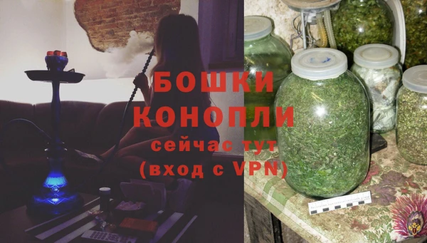 ГАЛЛЮЦИНОГЕННЫЕ ГРИБЫ Осташков
